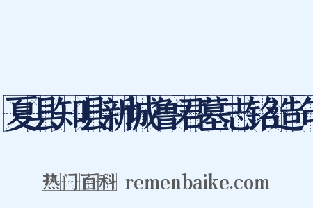 夏县知县新城鲁君墓志铭造句是什么意思的图片